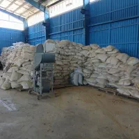 نیروی کار در کارخانه برنجکوبی