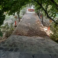 یک خانم برای طبخ غذابرای یک خانم سالمندنیازمندیم