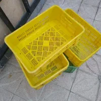 سبد پلاستیکی