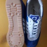 کفش|کیف، کفش، کمربند|شهرکرد, |دیوار