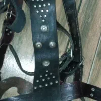 کمربند علامت