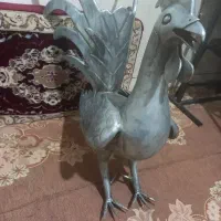 خروس علامت