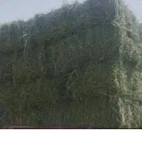 بیده فروشی