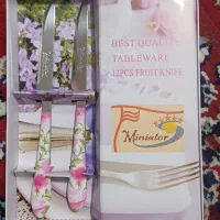 ظروف چینی و شیشه ای و کارد نو