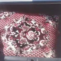 پشتی درحدنو