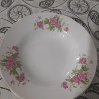 ظرف غذا خوری