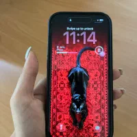 ایفون ۱۵ باطری ۹۴|موبایل|شیراز, زند|دیوار