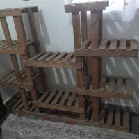 استند گل|گل و گیاه طبیعی|اهواز, بهارستان|دیوار