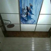 *اجرای انواع سقف کاذب*|خدمات پیشه و مهارت|تهران, شهرک ولیعصر جنوبی|دیوار