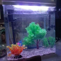 آکواریوم شیشه خم