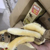 عروسک|اسباببازی|بروجرد, |دیوار