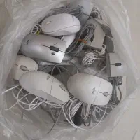 تعداد ۵۰ عدد موس خارجی