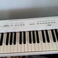 پیانودیجیتالp115