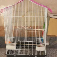 قفس بزرگ|پرنده|شادگان, |دیوار