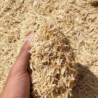 100 تن کاه وعده‌ای
