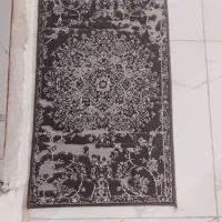 پادری