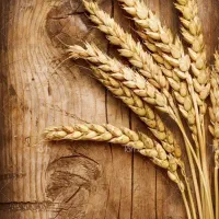 انتقال مکان مرکز تحصصی زیبایی گندم