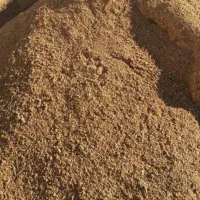 فروش عمده تفاله زیتون