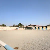 پانسیون اسب ملارد|اسب و تجهیزات اسب‌سواری|تهران, چیتگر شمالی|دیوار
