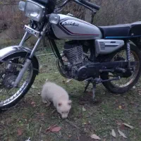 هندالیفان۲۰۰مزایدهبهشرط|موتورسیکلت|نوکنده, |دیوار