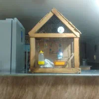 قفس پرنده چوبی