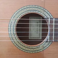 آموزش گیتار بانوان (منزل هنرجو)