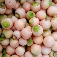 سپستان شیرین و خوشمزه،ترشی انبه