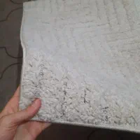 ۴ عدد پادری پشمالویی|پادری|خمینی‌شهر, |دیوار