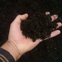 چلم گاوی و خاک برگ وغیره...