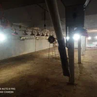 استخدام کارگر مرغداری|استخدام صنعتی، فنی، مهندسی|مهاباد (آذربایجان غربی), |دیوار