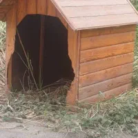 خونه بزرگ  برای سگ