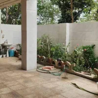 ***اجاره سالیانه خانه ویلایی|اجارهٔ خانه و ویلا|چاف و چمخاله, |دیوار