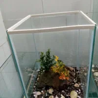 اکواریم نو ساز متنوع|ماهی|یزد, |دیوار