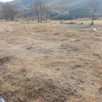 زمین بستان آباد|فروش زمین و ملک کلنگی|بستان آباد, |دیوار