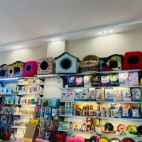 قلاده لباس هودی کاپشن کتفی گردنی زنجیر بند لید|لوازم جانبی حیوانات|مشهد, گلبرگ|دیوار