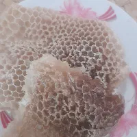عسل