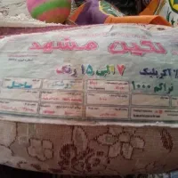 فرش ۱۲متری نگین مشهد|فرش|سرایان, |دیوار