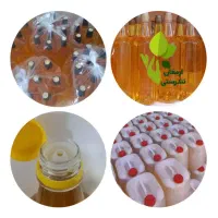 روغن آفتابگردان خالص