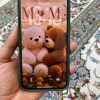 Iphone 13 pro max 256g|موبایل|آشخانه, |دیوار