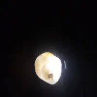 سنگ|کلکسیون سکه، تمبر، اسکناس|گلبهار, شهر جدید گلبهار|دیوار