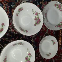 ظروف گل سرخی|ظروف سرو و پذیرایی|اراک, |دیوار