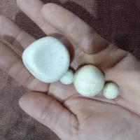 سنگ های مختلف|جواهرات|خوی, |دیوار