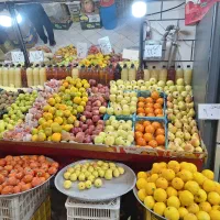 همکار میوه فروش حرفه ای