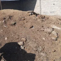 کود گوسفندی