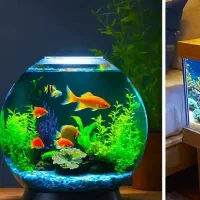 وسایل آکواریوم