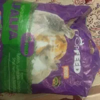 یونجه و پوشال خرگوش ،خوکچه هندی