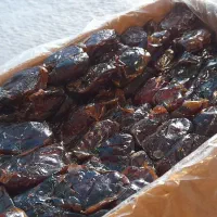 خرما درجه یک کازرونی