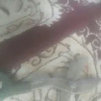 قیچی حلب بر دست دوم