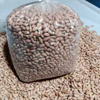 بادام زمینی درشت ومیانه آستانه|عمدهفروشی|رشت, کوی مهر|دیوار