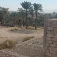 زمین مسکونی|فروش زمین و ملک کلنگی|احمدی, |دیوار